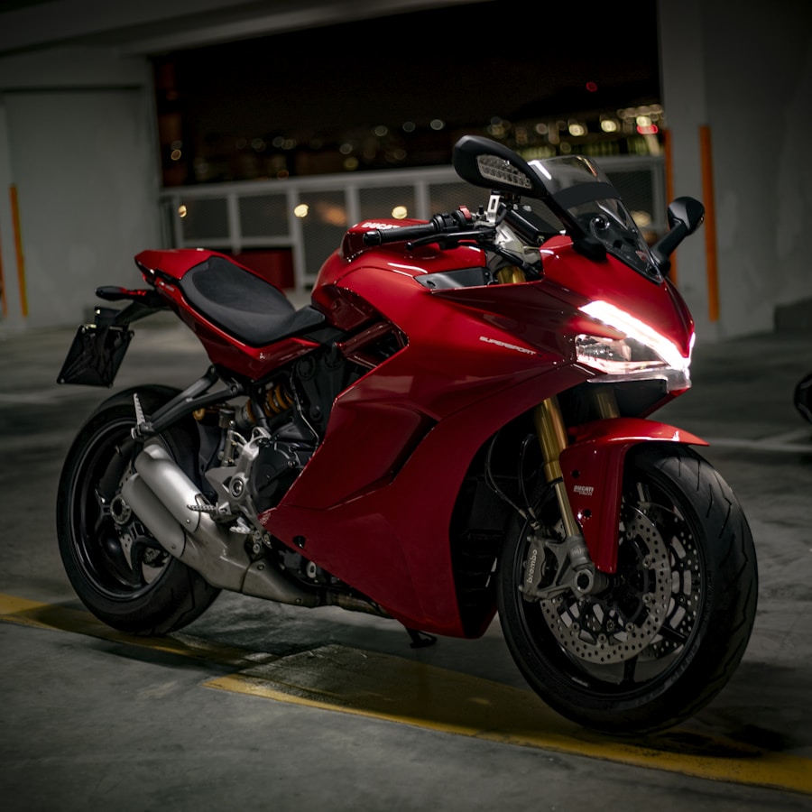 Leather Riding Gloves